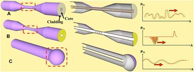 Perspectives on Assembling Coronavirus Spikes on Fiber Optics to Reveal Broadly Recognizing Antibodies and Generate a Universal Coronavirus Detector